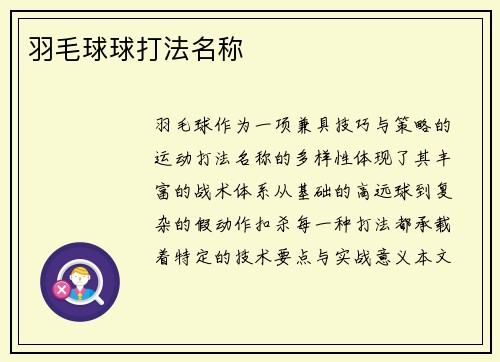 羽毛球球打法名称